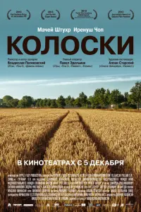 Мацей Штур, Ирениуш Чоп,
